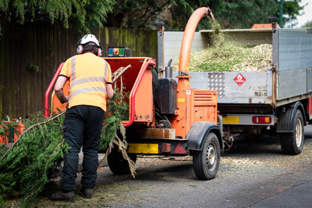 Best Storm Damage Tree Cleanup  in Fort Thomas, KY