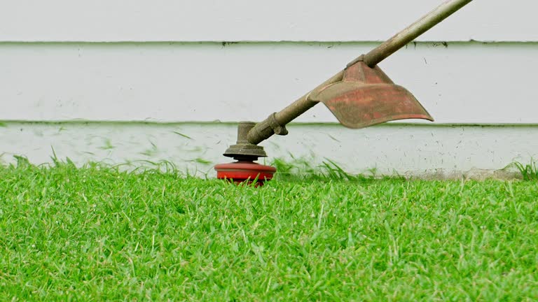 Best Aeration Services  in Fort Thomas, KY