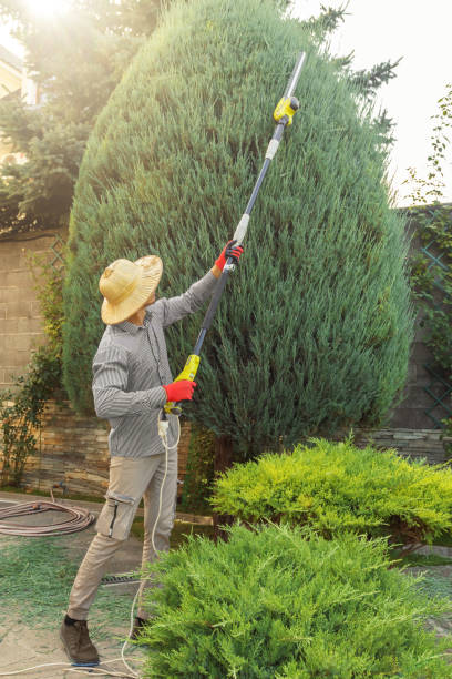 Best Lawn Drainage Solutions  in Fort Thomas, KY
